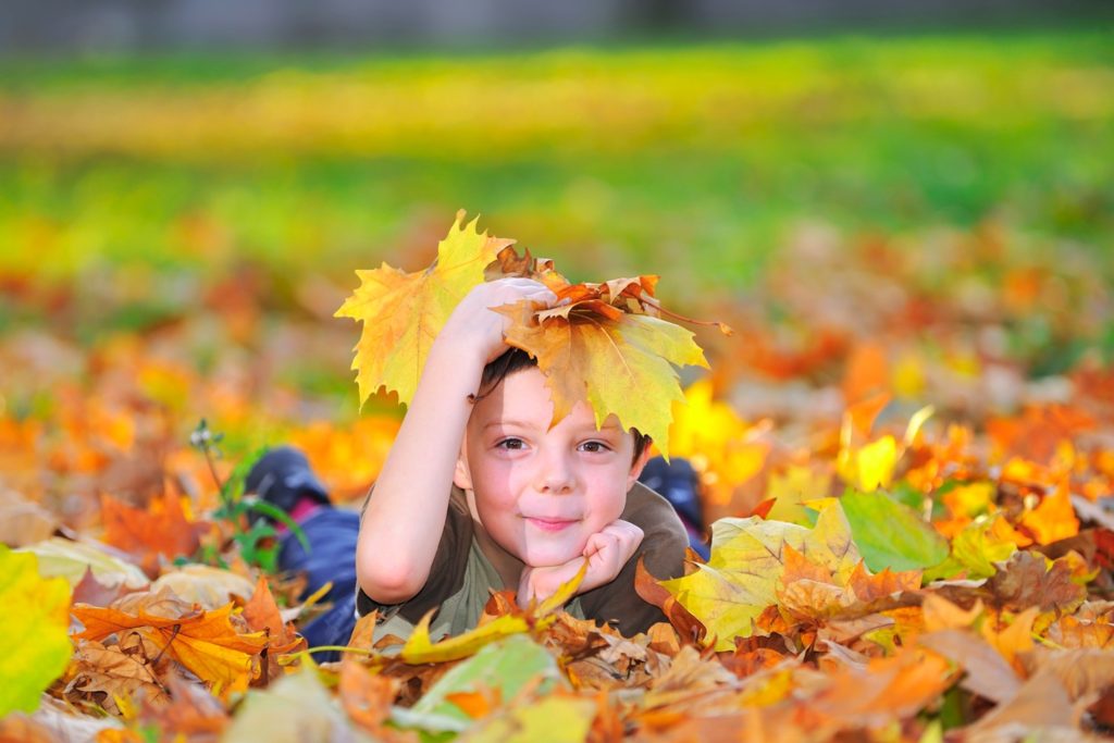 Embrace the Colors of Fall: Low-Prep Activities for Occupational ...