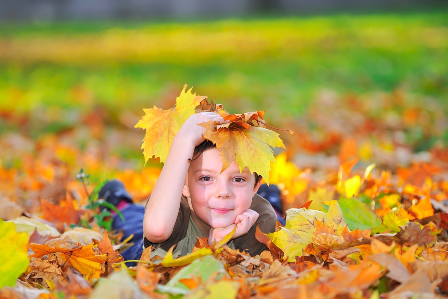 Embrace the Colors of Fall: Low-Prep Activities for Occupational ...