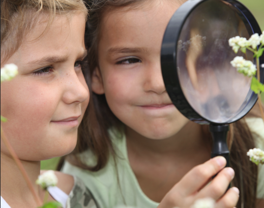 kids on a nature scavenger hunt